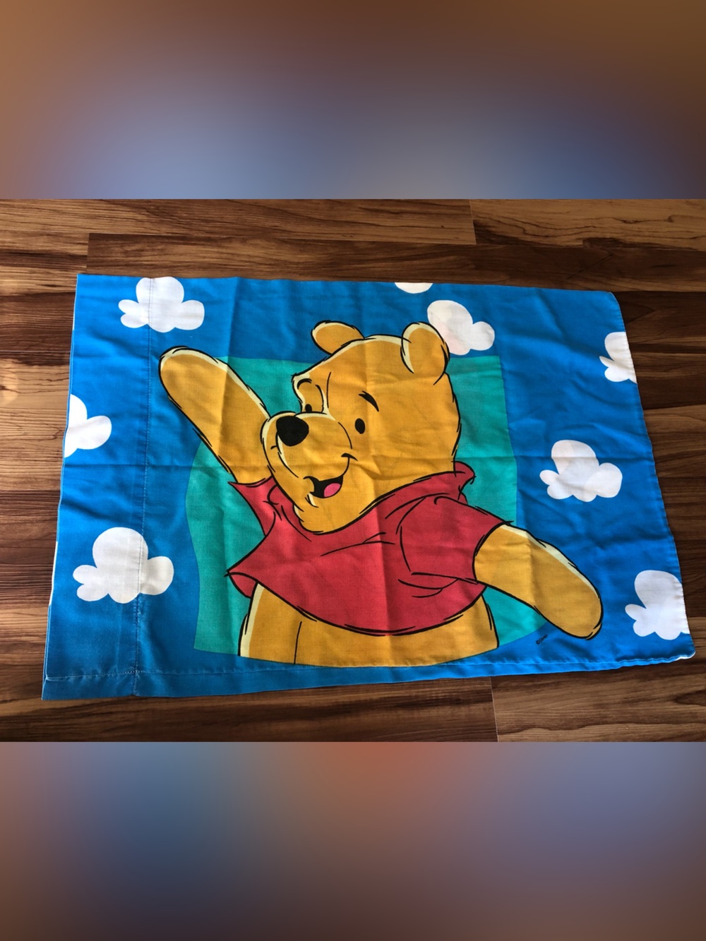 Vintage Winnie the Pooh Pillow Case 90s